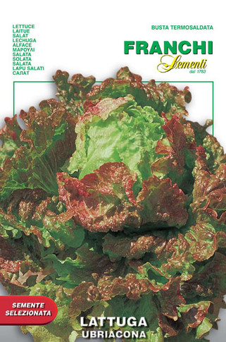 Lettuce Ubriacona (86-38)