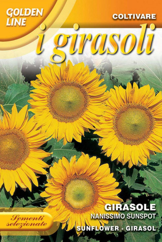 Sunflower Sunspot (329-3)
