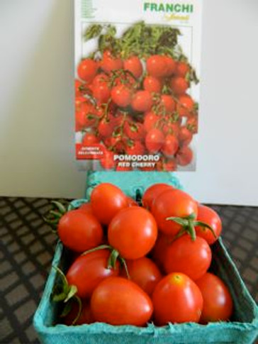 The real thing is even prettier than the picture with Franchi's Red Cherry tomato.