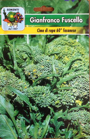 Cima di Rapa Sessantina (60 days) Cima Grosso Fasanese (41-97)