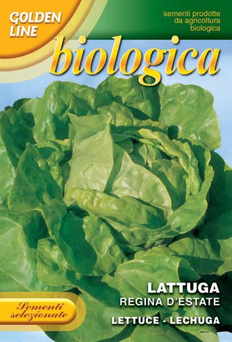 Lettuce Regina d'Estate - Summer Queen - Certified Organic (79-15B)