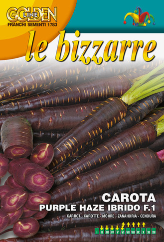 Carrot - Cosmic Purple (23-46)