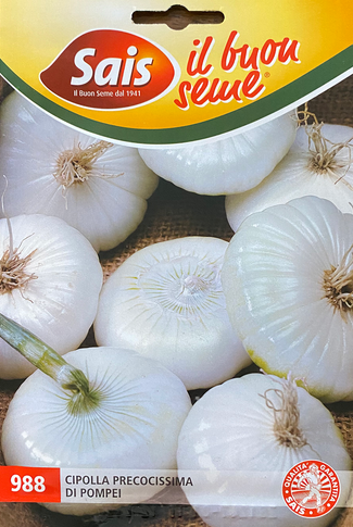 Onion Precocissima Pompei (43-988)