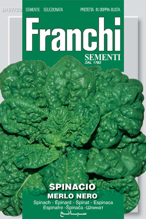 Spinach Merlo Nero (127-20)