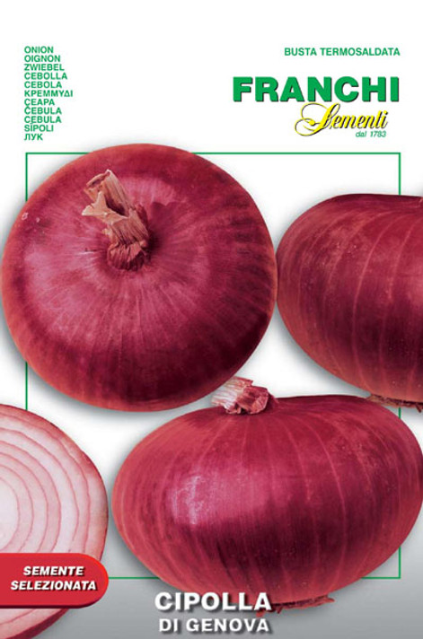 Onion Genovese (42-5)