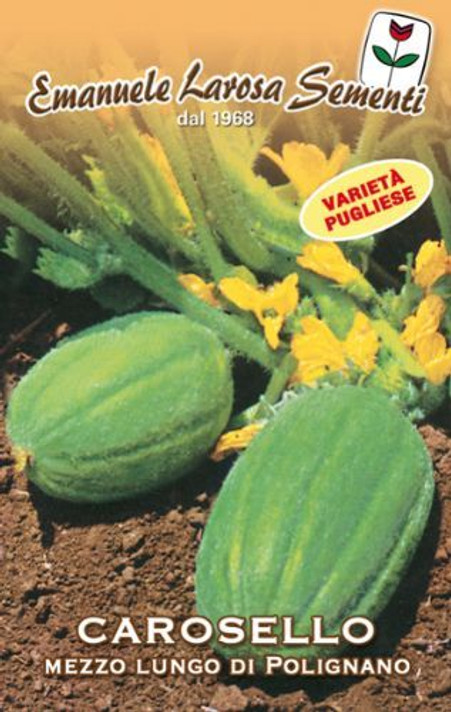 Cucumber Carosello Mezzo Lungo di Polignano (Barese) (37-99)