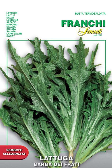 Lettuce Radichetta Barba Dei Frati (78-9)