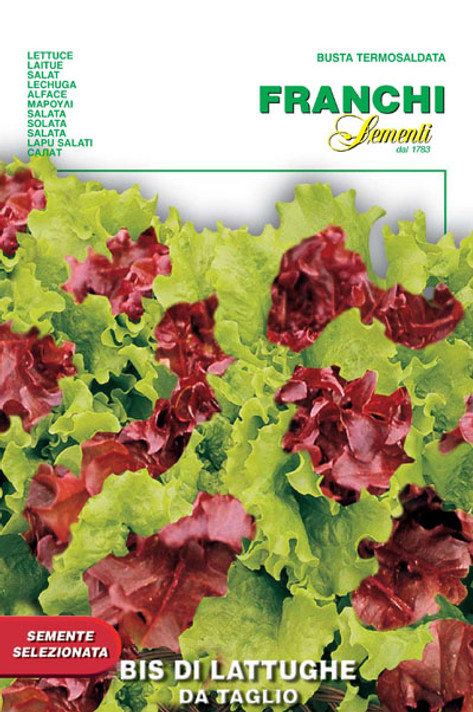 Two varieties of red and green frilly lettuce.