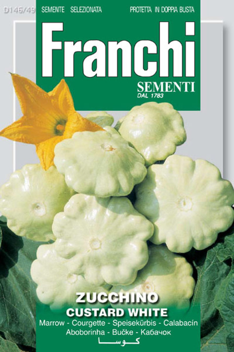 Zucchini Custard White (146-49)