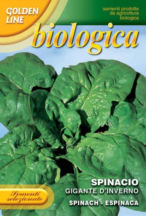 Spinach Gigante d'Inverno - Organic (127-9B)