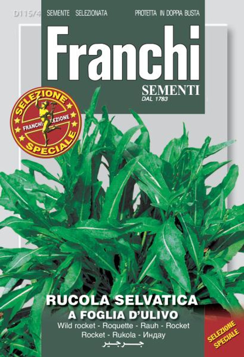Arugula Olive Leaf Franchi (DBOS 115-4)