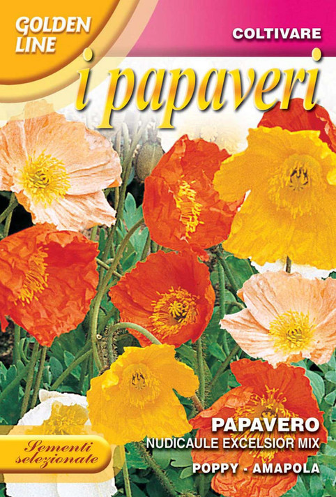 Icelandic Poppy ‘Excelsior’ (341-7)