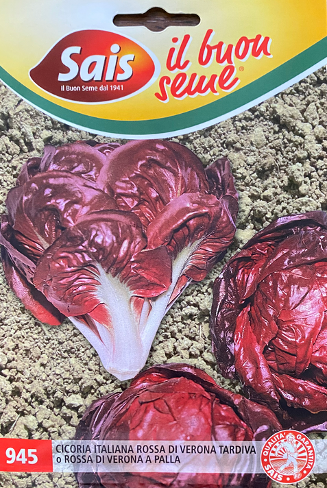 Chicory Rossa di Verona Tardiva - Sais Sementi (40-114)