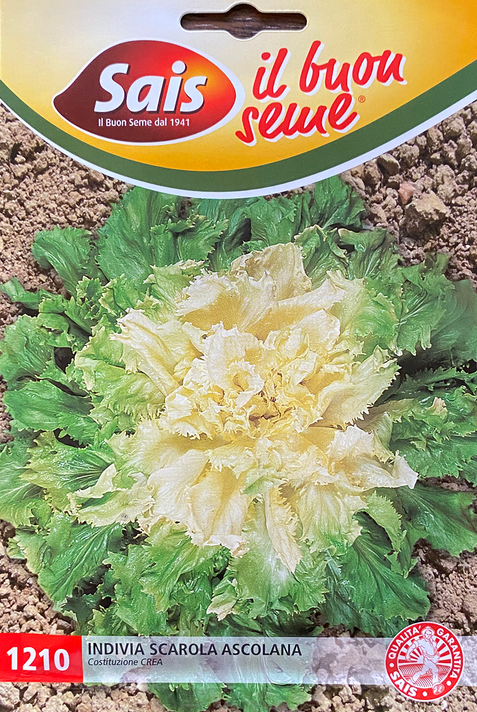 Endive Ascolana (75-102)