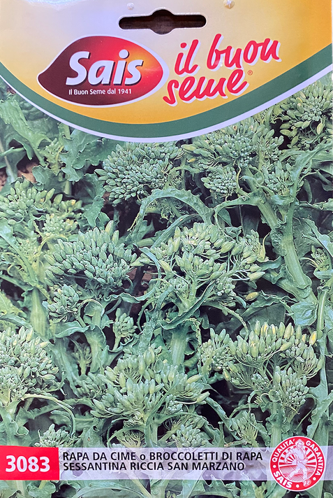 Cima di Rapa Sessantina Riccia San Marzano