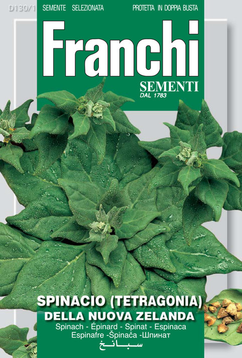 Tetragonia - New Zealand Spinach (130-1)
