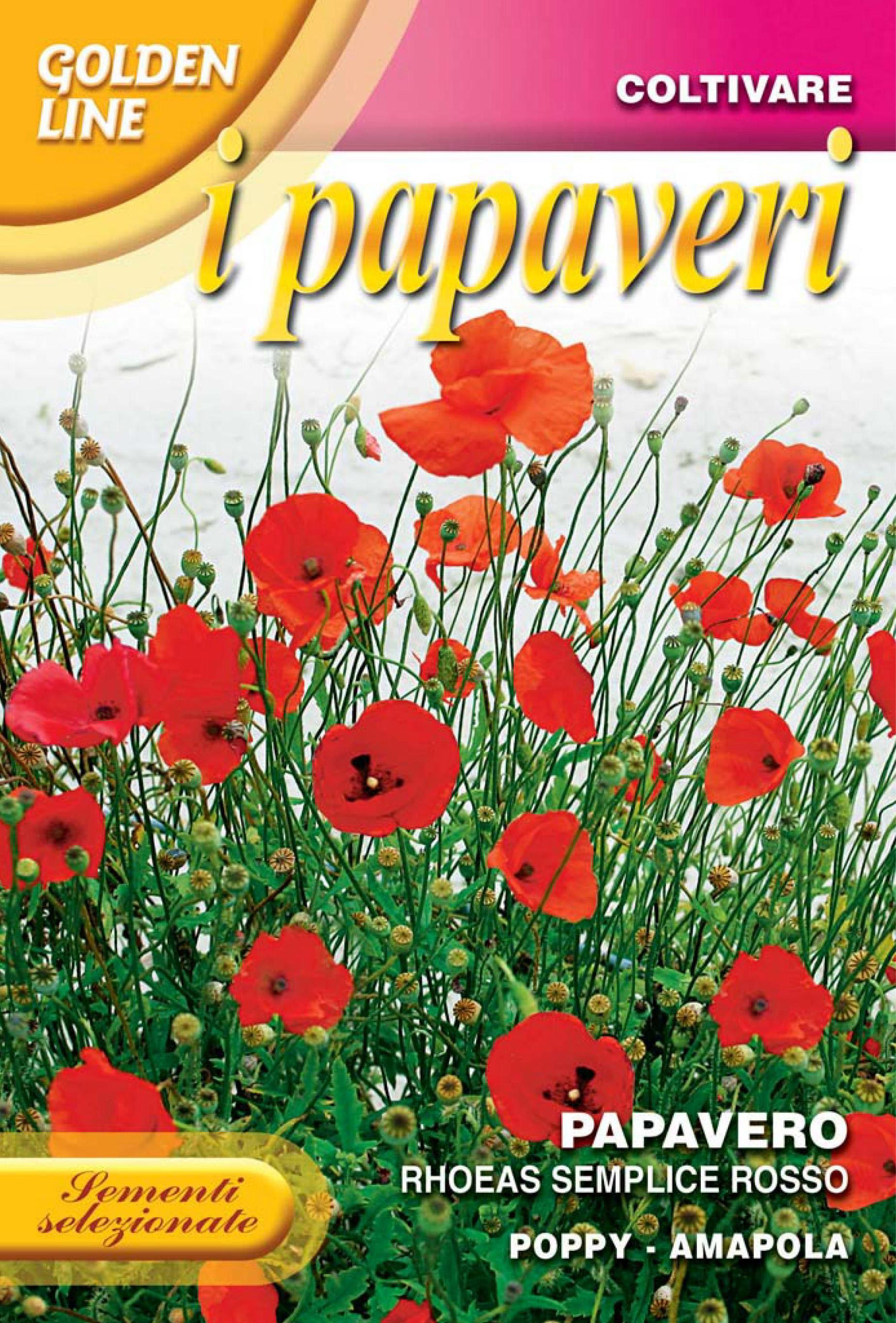 American Legion Poppy Seeds Red Corn Poppies Flanders 