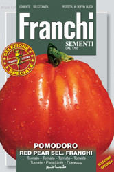 Our bestselling tomato and for good reason! Huge, meaty, flavorful, few seeds, a good producer....so many attributes make this our #1 customer favorite.