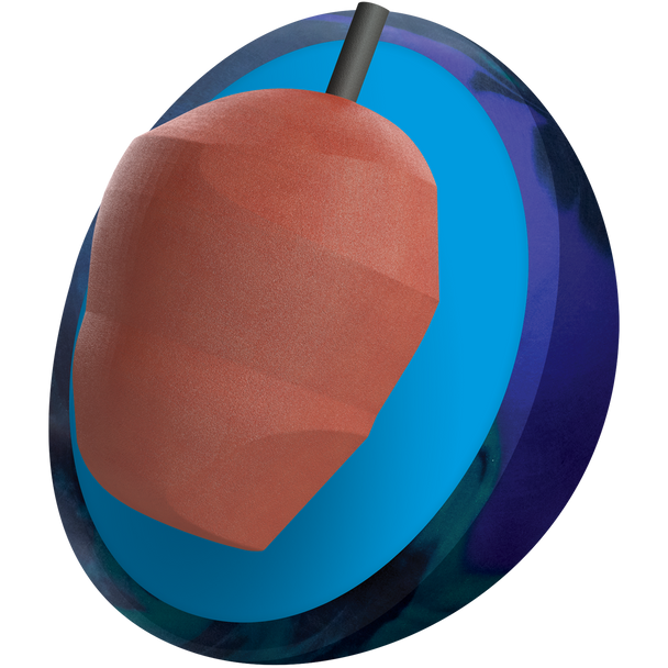 Columbia 300 Explosion