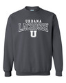 Urbana Hawks LACROSSE Cotton Crewneck Sweatshirt Many Colors Available SZ YOUTH S-XL charcoal