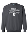 UHS Urbana Hawks Crewneck Cotton Sweatshirt Many Colors Available Size S-3XL CHARCOAL