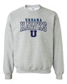 UHS Urbana Hawks Crewneck Cotton Sweatshirt Many Colors Available Size S-3XL Ash