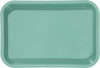 Zirc Mini Tray 9-3/8"x6-3/8"x7/8", Green, ea