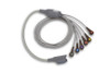 Zoll V Lead Patient Cable for 12 Lead ECG