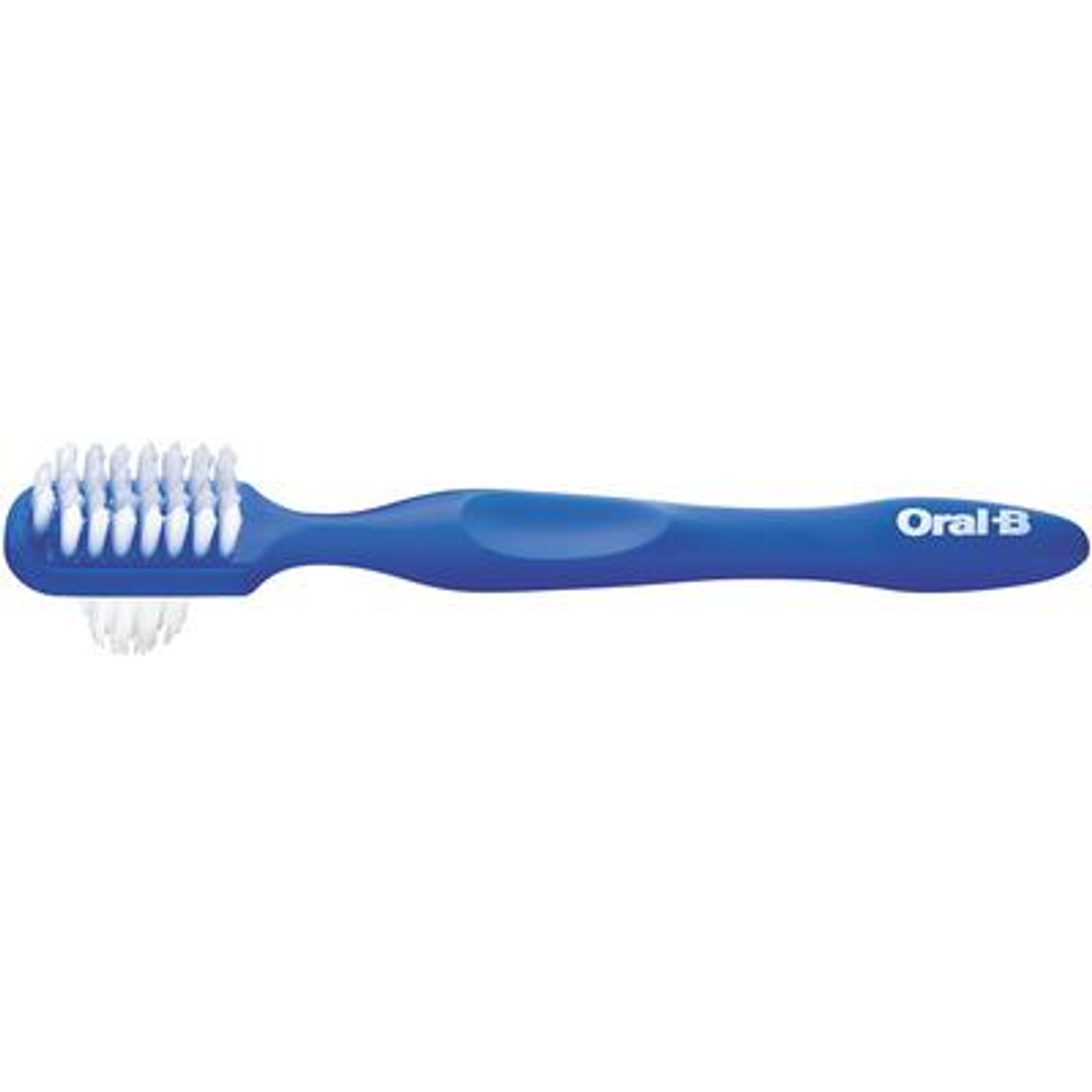 P&G Oral-B Denture Brush 6/bx (old part #s 80310199, 75048450)