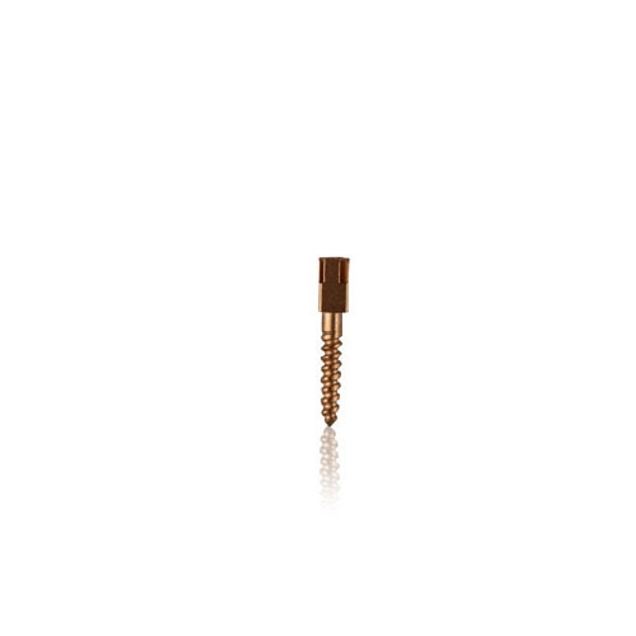 Johnson-Promident Gold Screw Post Size 6 Long 1.50x11.8mm, 12/pk