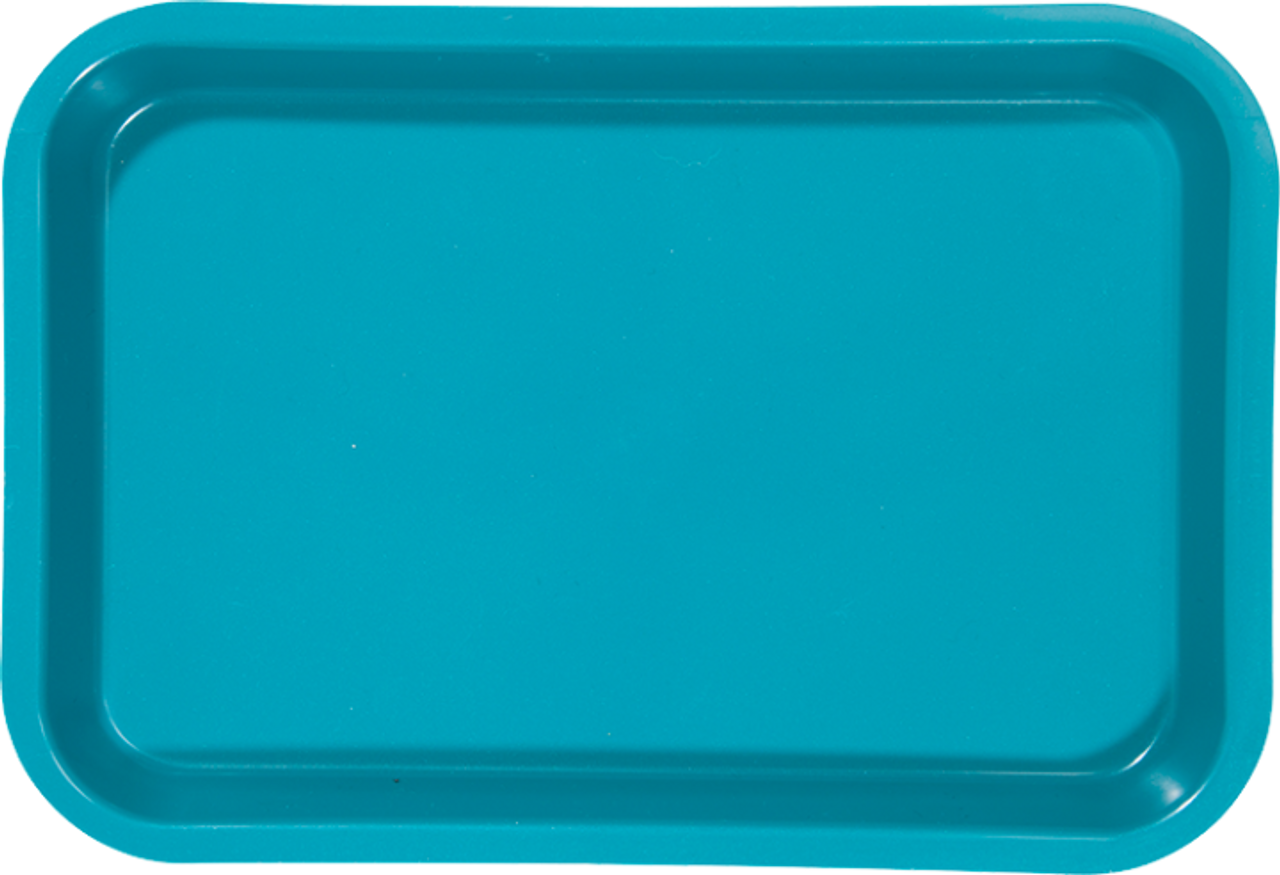 Zirc Mini Tray 9-3/8"x6-3/8"x7/8", Teal, ea