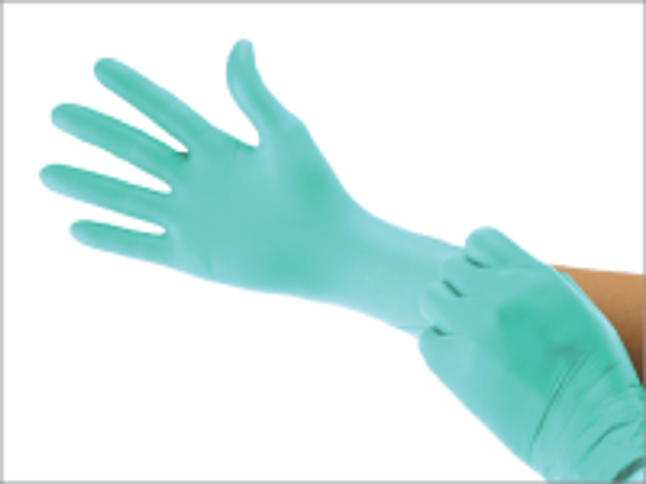 Cranberry Aquaprene Chloroprene PF Exam Gloves, Aqua, M, 200/bx