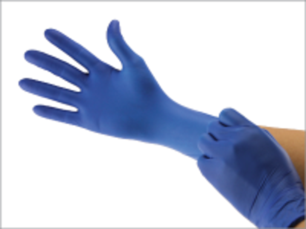 Cranberry Evolve 300 Nitrile PF Exam Gloves, Royal Blue Large 300/bx