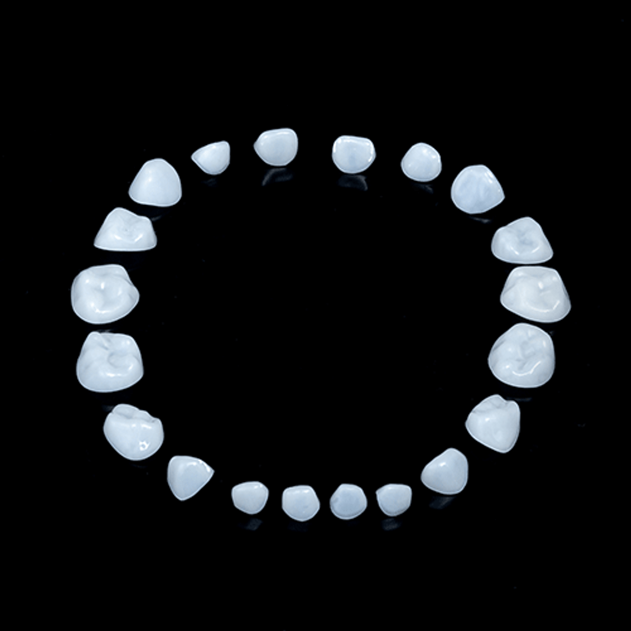 Directa Ceramir Pediatric Crown, 72/N, X-Large, ea