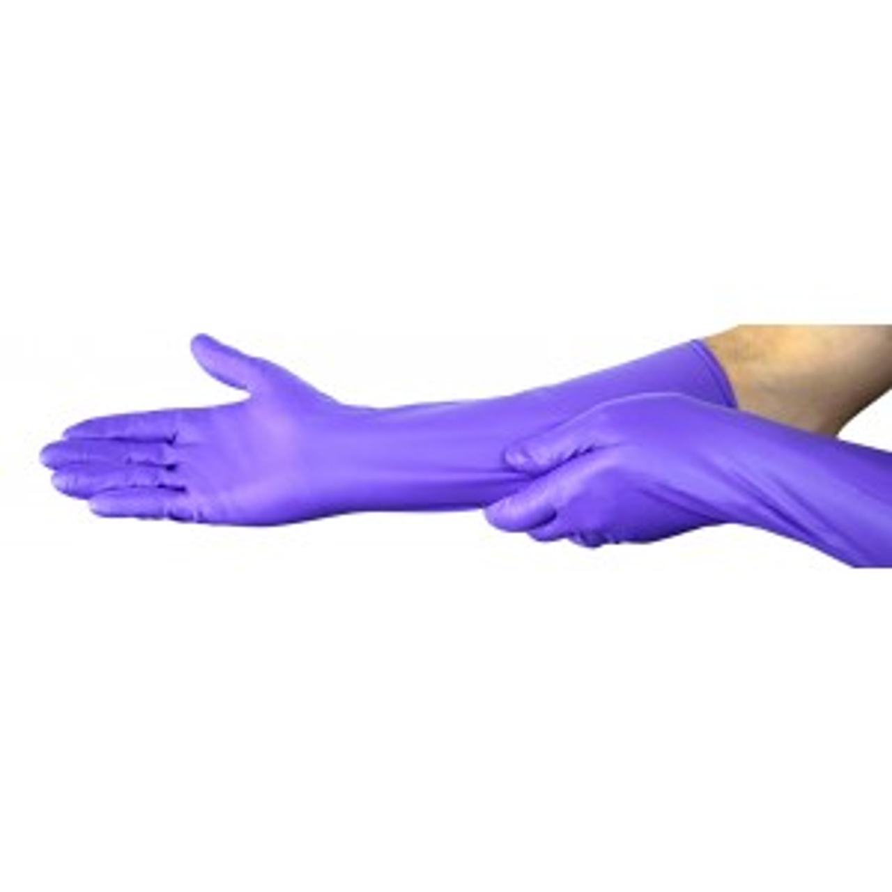 Halyard Purple Nitrile Max PF Exam Glove, Medium, 50/bx, 8 bx/cs