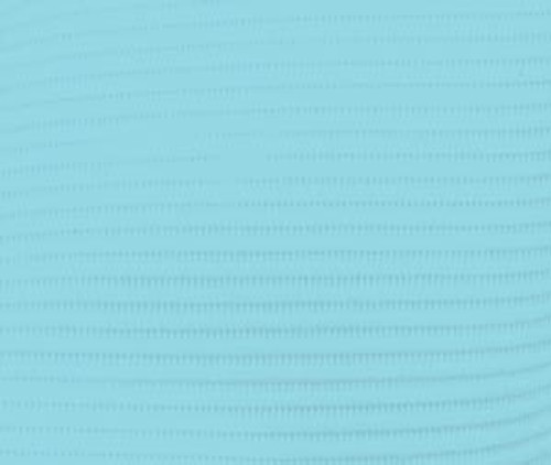 Crosstex Professional Regular 3 Ply Bibs 19"x13" Blue, 500/cs