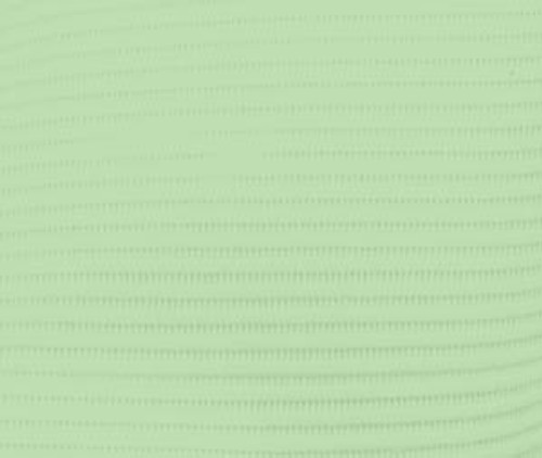 Crosstex Professional Regular 3 Ply Bibs 19"x13" Green, 500/cs