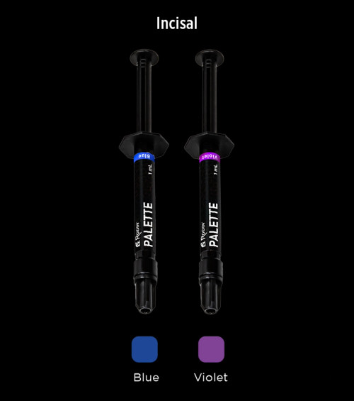 Pac-Dent Rodin Palette N2-Free Incisal Kit
