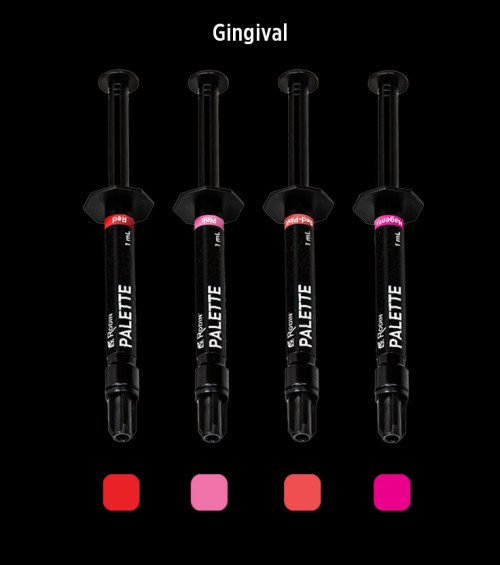 Pac-Dent Rodin Palette N2-Free Gingival Kit