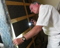 How Quickly Do Bed Bugs Spread?