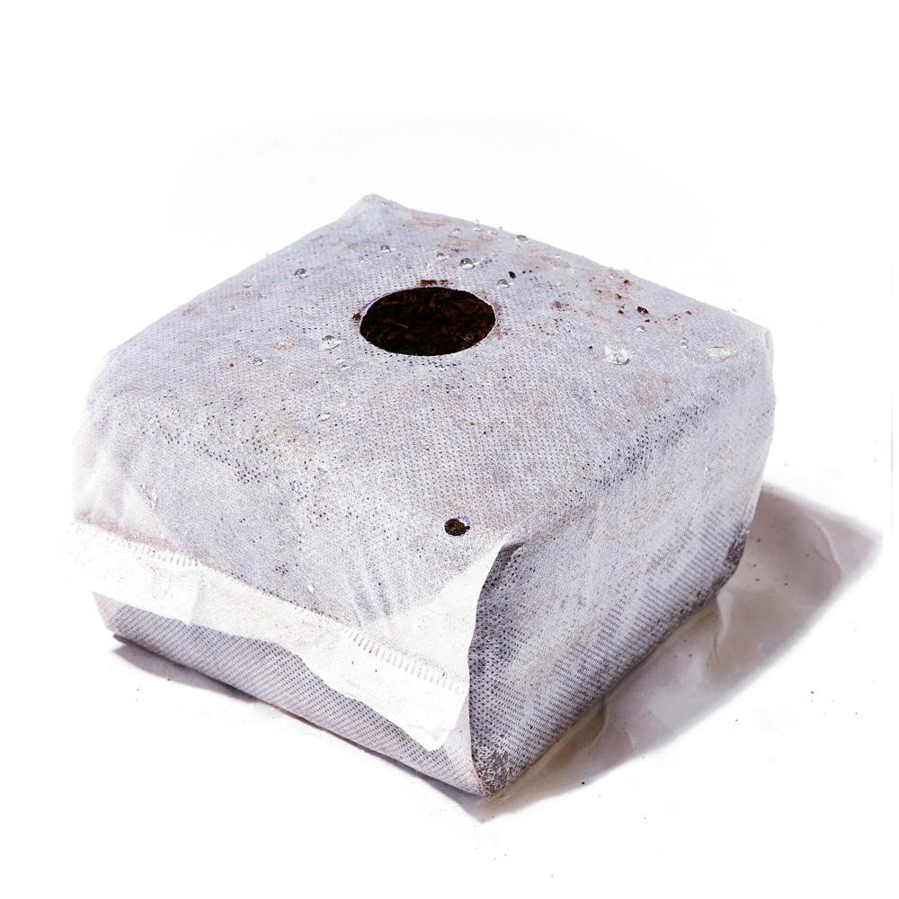 The Coco Cube - Coir Cube 6”x6”x4”- 2.25 L , Case of 32 - DS Urban