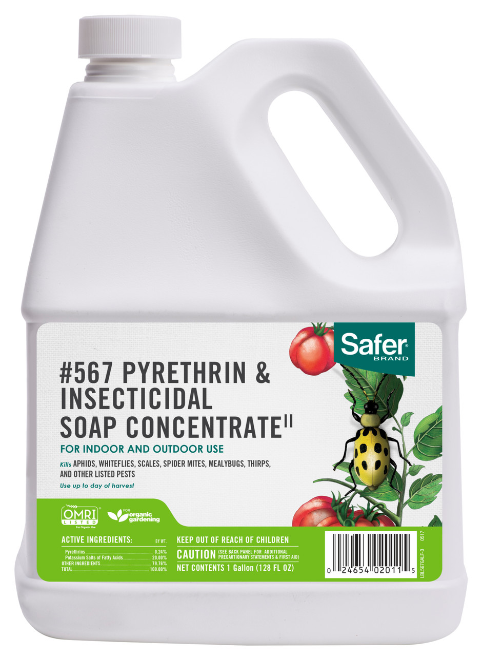 Safer Pyrethrin & Insecticidal Soap II Concentrate Gallon 