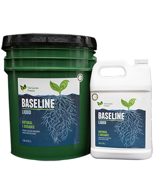 Vital Baseline Liquid