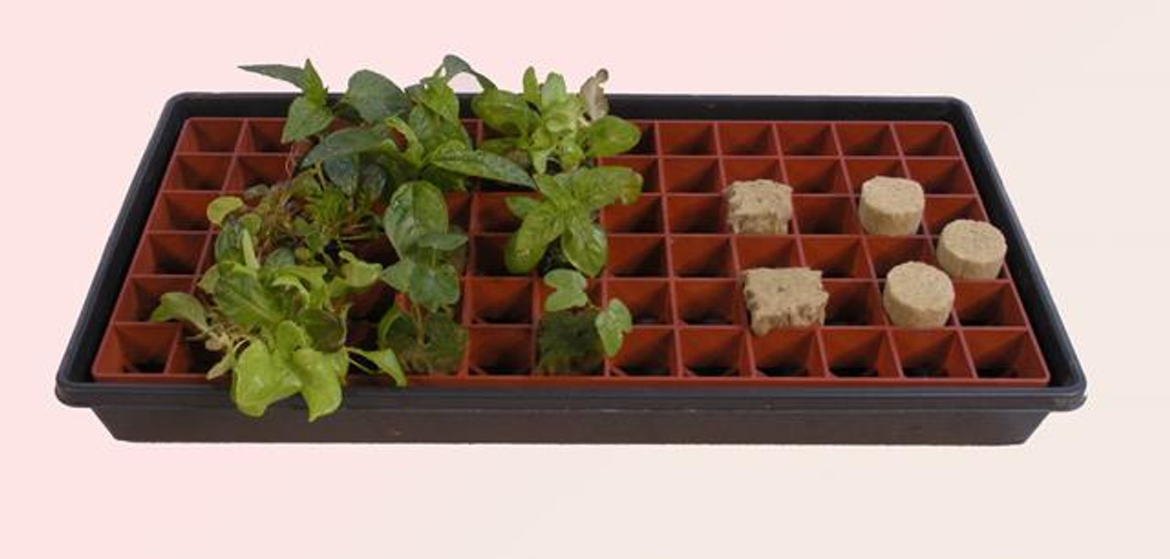 Gro-Smart Tray Terracotta RW205002