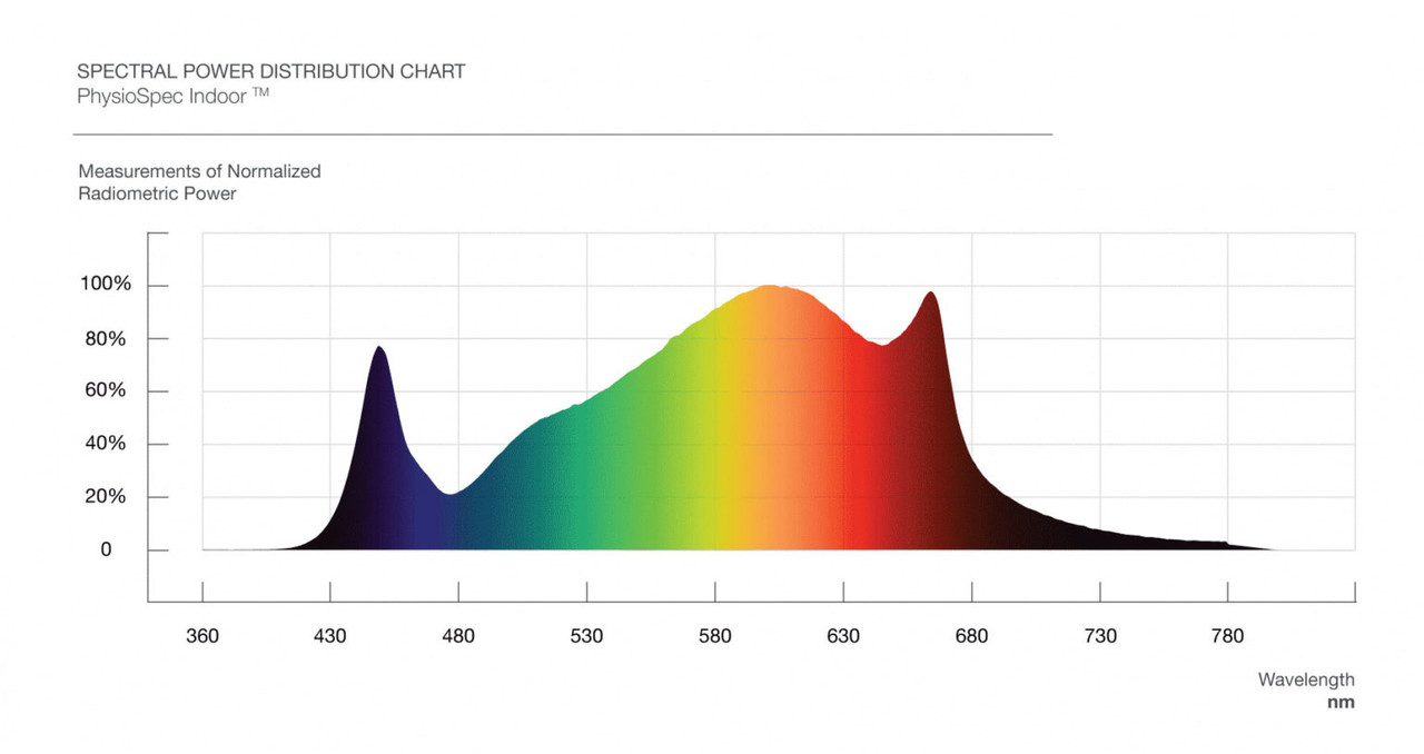 Fluence Ray 44 Led (79watt)