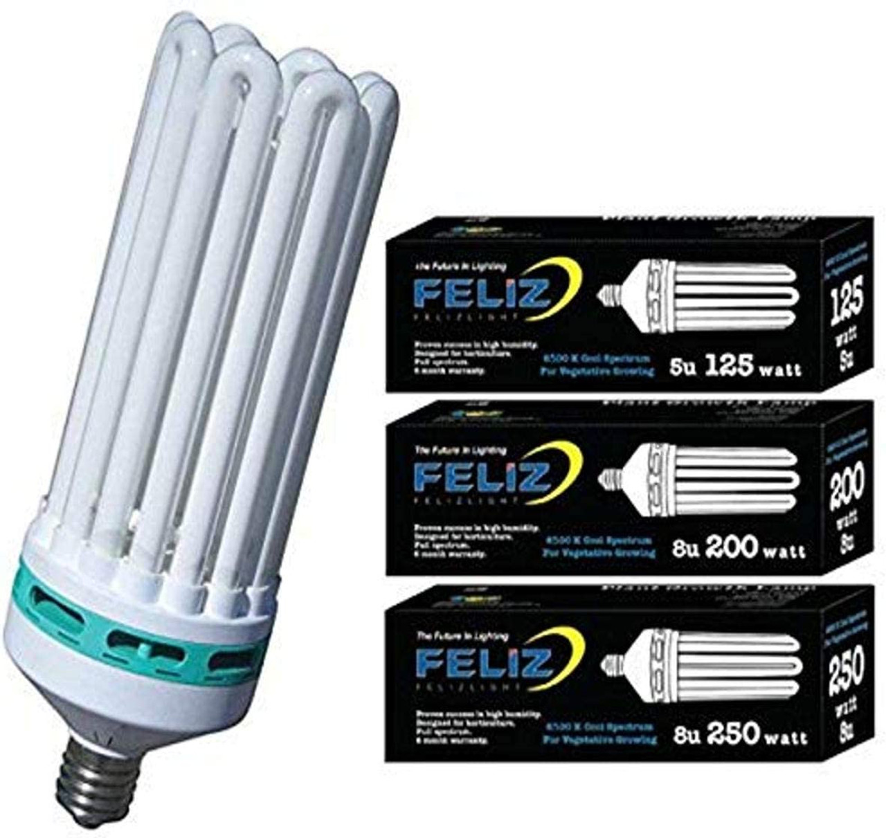 Feliz Blue Fluorescent 300 Watt 6500K