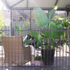 Slat-Fence features slim 50x10mm vertical slats/ blades with 80mm open gaps; this open-design fence provides outstanding visibility and a spacious, contemporary look.