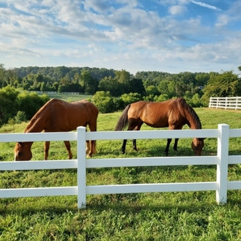 PVC Post & Rail Fencing - Rural, Equine & Acreage PVC Post & Rail Fencing - Rural, Equine & Acreage