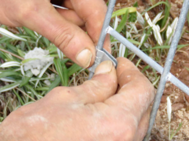Photo showing Fitment of the VeriSmart Fencing Clip - Easy to squeeze close on fencing panels!