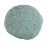 Tortilla de harina, flour tortilla producto de mexico mountainsmarket, mexican grocery,mountainsmarket, la reyna tortillas